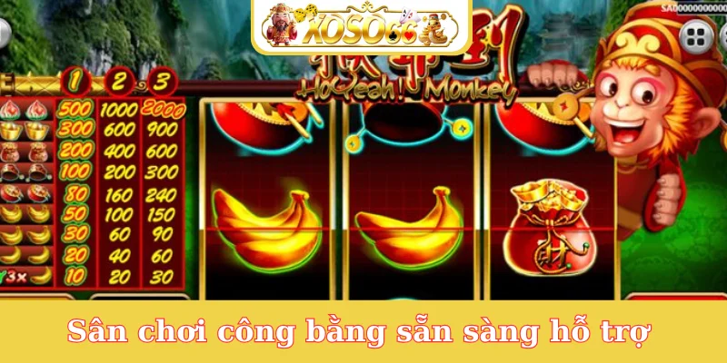 san-choi-cong-bang-san-sang-ho-tro